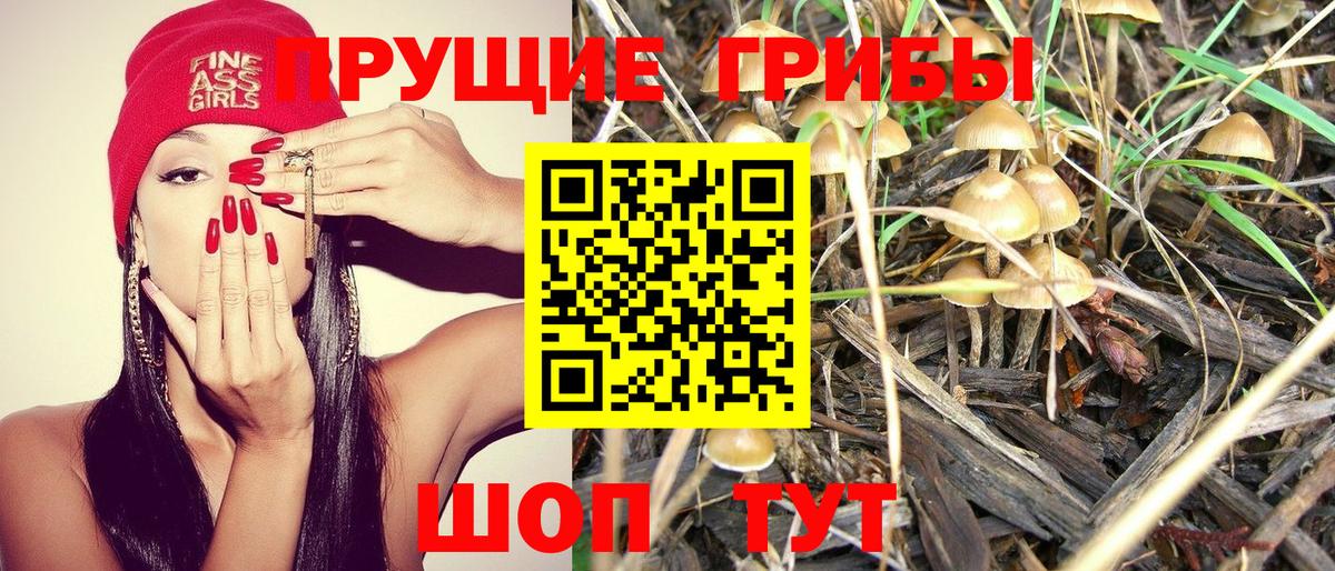 Псилоцибиновые грибы Psilocybine cubensis Наро-Фоминск