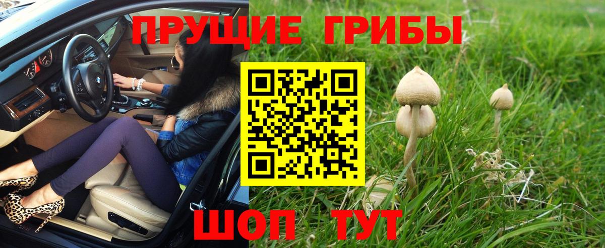 Наро-Фоминск  Псилоцибиновые грибы MAGIC MUSHROOMS  Вход с VPN 